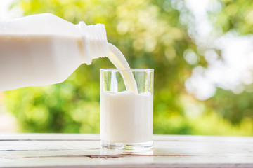 Цена на обычное молоко во Франции выше, чем на органическое 