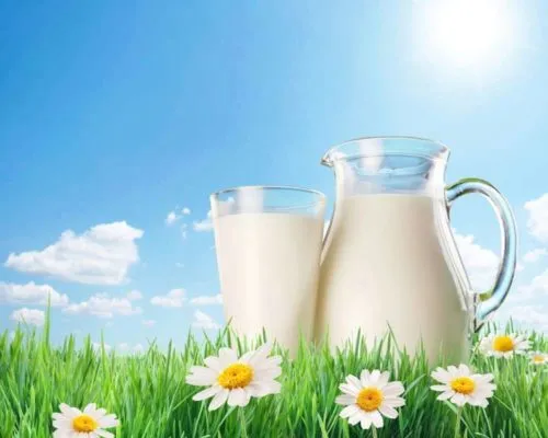фотография продукта  Молоко сырое 