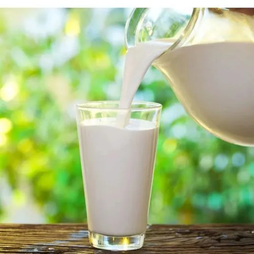 фотография продукта Молоко сырое высшего сорта 