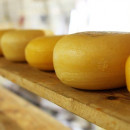 Украина увеличила импорт сыров за 11 месяцев 2021 до 49 тысяч тонн