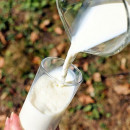 Татьяна Нагаева: Цена на сырое молоко будет расти и достигнет 42-43 рубля за литр