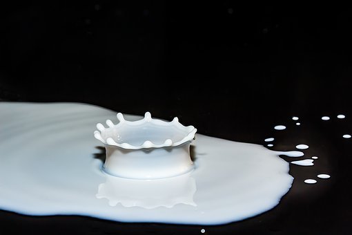 Союзмолоко: Изменение условий льготного кредитования увеличит нагрузку на молочную отрасль на треть годовой прибыли 