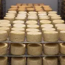 Белорусский экспорт сыров и творога в 2021 году принес 1,19 млрд долларов