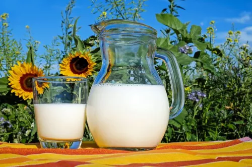 Себестоимость производства молока может вырасти на 15%