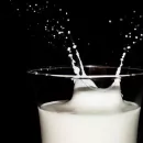 Россельхознадзор: Белгородское молоко проверяли на антибиотики в фантомной лаборатории