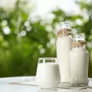 Алексей Груздев: Египет входит в топ-20 крупнейших молочных рынков мира