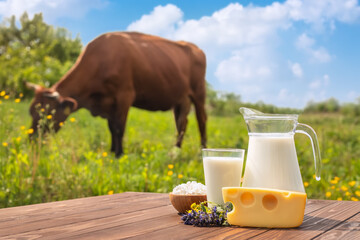INFOLine: отечественные производители молочных продуктов стали чаще выпускать новинки в большой упаковке 