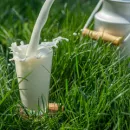 «Племенной завод имени Дзержинского» вошел в топ-100 производителей молока России