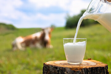 Молочные фермеры Америки подали коллективный иск против DFA 
