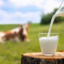 Кумар Аксакалов: Производство молока в Северо-Казахстанской области увеличилось на 26%