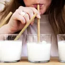 Борис Палашич: В Сербии не будет дефицита молока