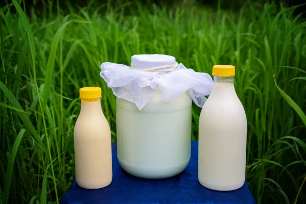 Максим Фастеев: Цены на сырое молоко в ЕС продолжают расти 