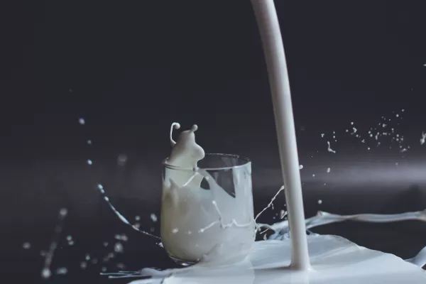 Михаил Мищенко: К 2030 году дефицит молока в мире составит 15,2 млн тонн 