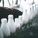 Корейская молочная индустрия заключила перемирие с Минсельхозом страны