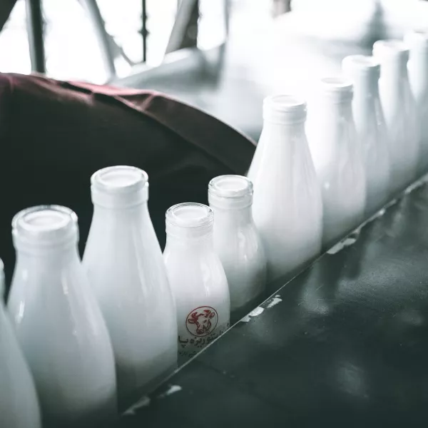 Цена на молоко в ЕС выросла почти на 40% в 2022 году