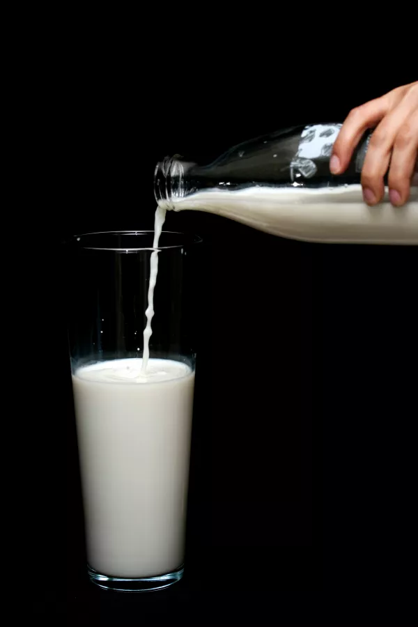Цены на сырое молоко могут снизиться