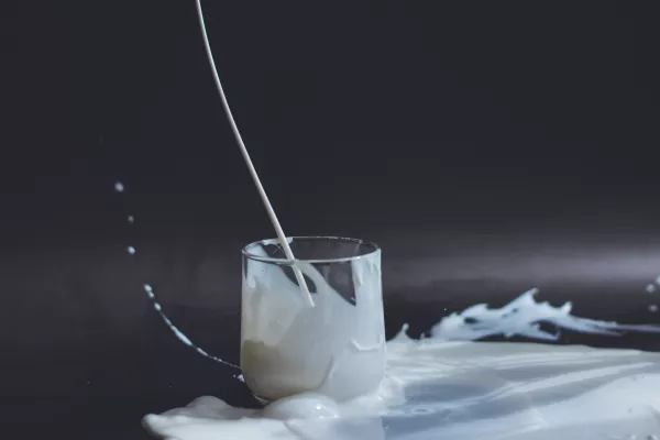 Спрос на молоко в 2023 году не будет расти – «Союзмолоко»