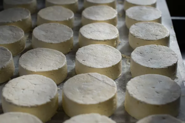 Швейцария лишилась прав на популярный бренд сыра «Эмменталь»