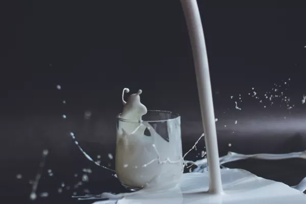 Потребление молока в России снизилось: почему и куда девать излишки?