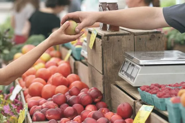 В июле россияне серьёзно увеличили закупки фермерской продукции