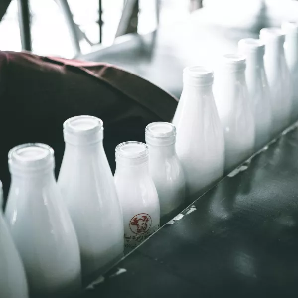 В Белоруссии заявили о доходе по незаконным сделкам в молочной отрасли более $10 млн в год