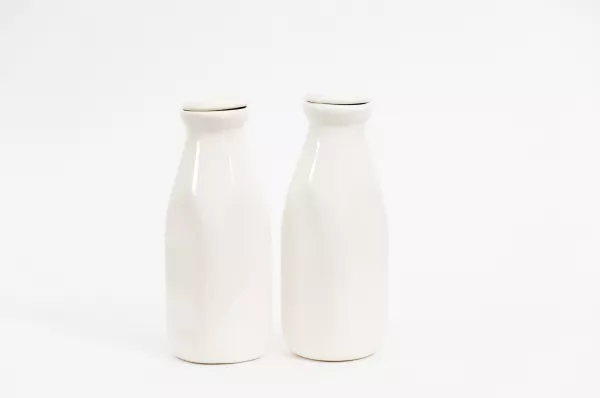 Удмуртское "Ува-Молоко" будет поставлять молочную продукцию в Египет