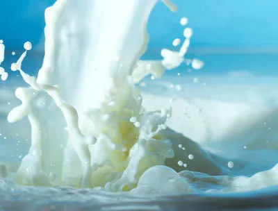 фотография продукта Молоко пастеризованное 3,2% фил.пак 900г