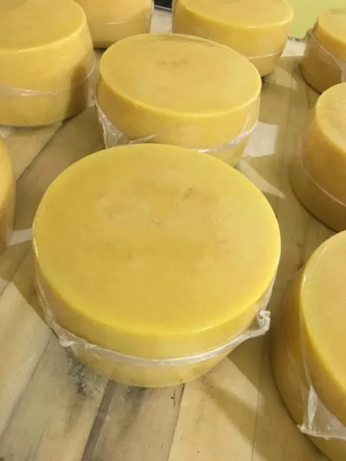 фотография продукта Сыр "Пармезан Голд" со склада в Москве