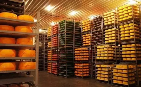 фотография продукта Сыр оптом от производителя 350р/кг.