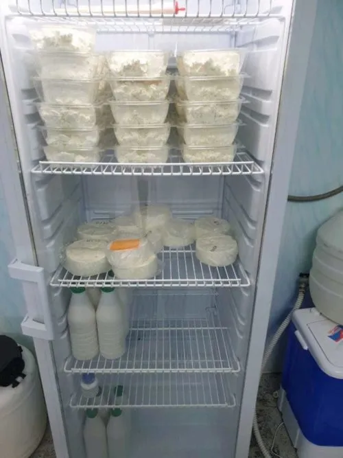 фотография продукта творог, Адыгейский сыр, молоко цельное