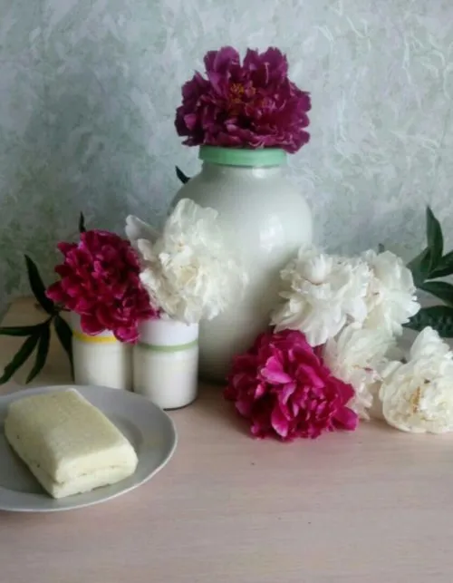 фотография продукта Козье молоко, йогурт, сыр 