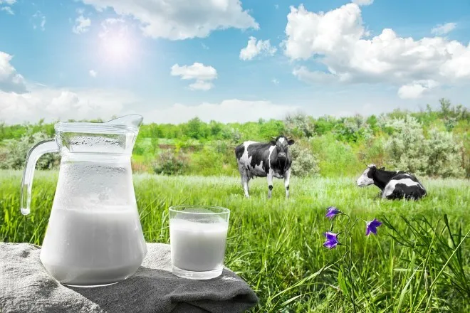 фотография продукта Молоко сырое коровье с доставкой