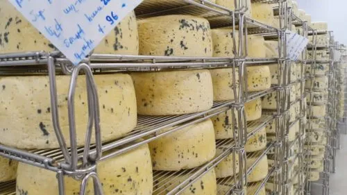 фотография продукта Сыр с голубой плесенью 50% Армения