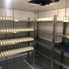 йогурт термостатный  в Владимире и Владимирской области