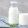 сырое молоко  в Челябинске