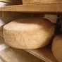 сыр на переработку ( неликвид) в Липецке и Липецкой области