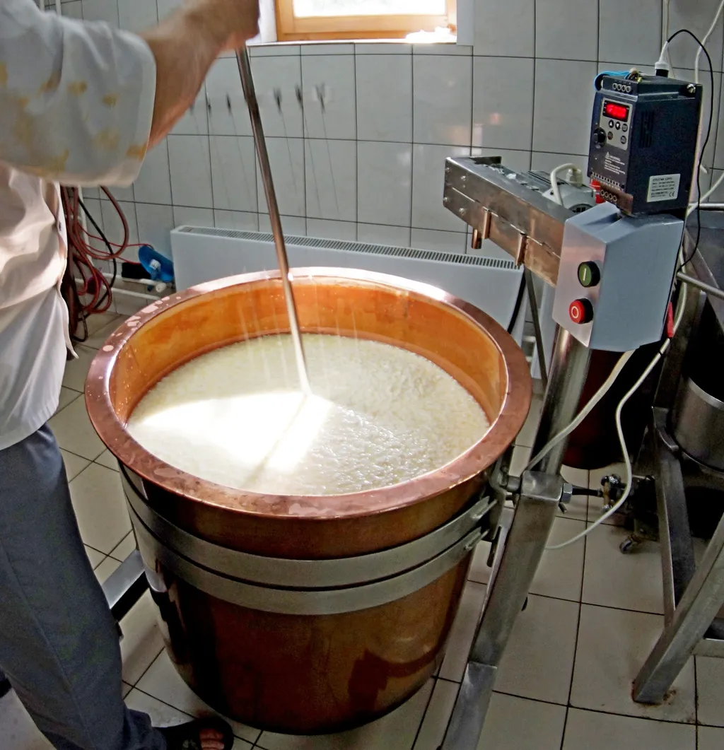 Фотография продукта Медный чан для сыра 165 литров