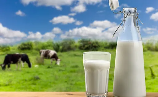 фотография продукта Предприятие закупает сырое молоко СПБ,ЛО