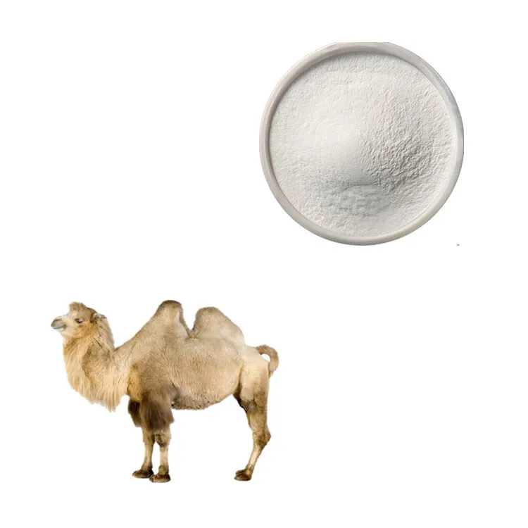 фотография продукта Сухое верблюжье молоко оптом