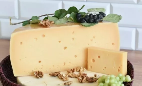 фотография продукта Сыр из козьего и коровьего молока, опт